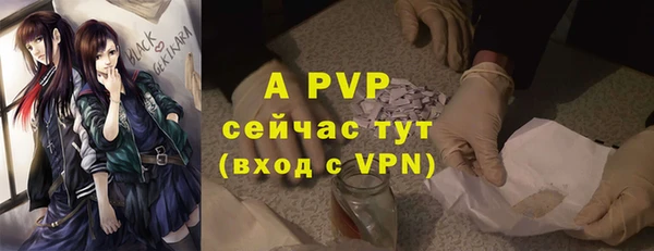 индика Абаза
