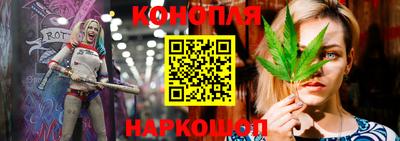 гидра Заволжье