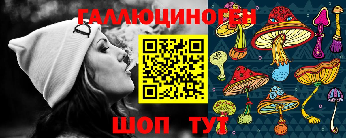 Моздок  Псилоцибиновые грибы прущие грибы  Вход с VPN 